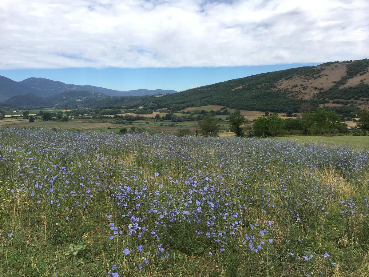 Tenuta Due Laghi Rivodutri Zewnętrze zdjęcie